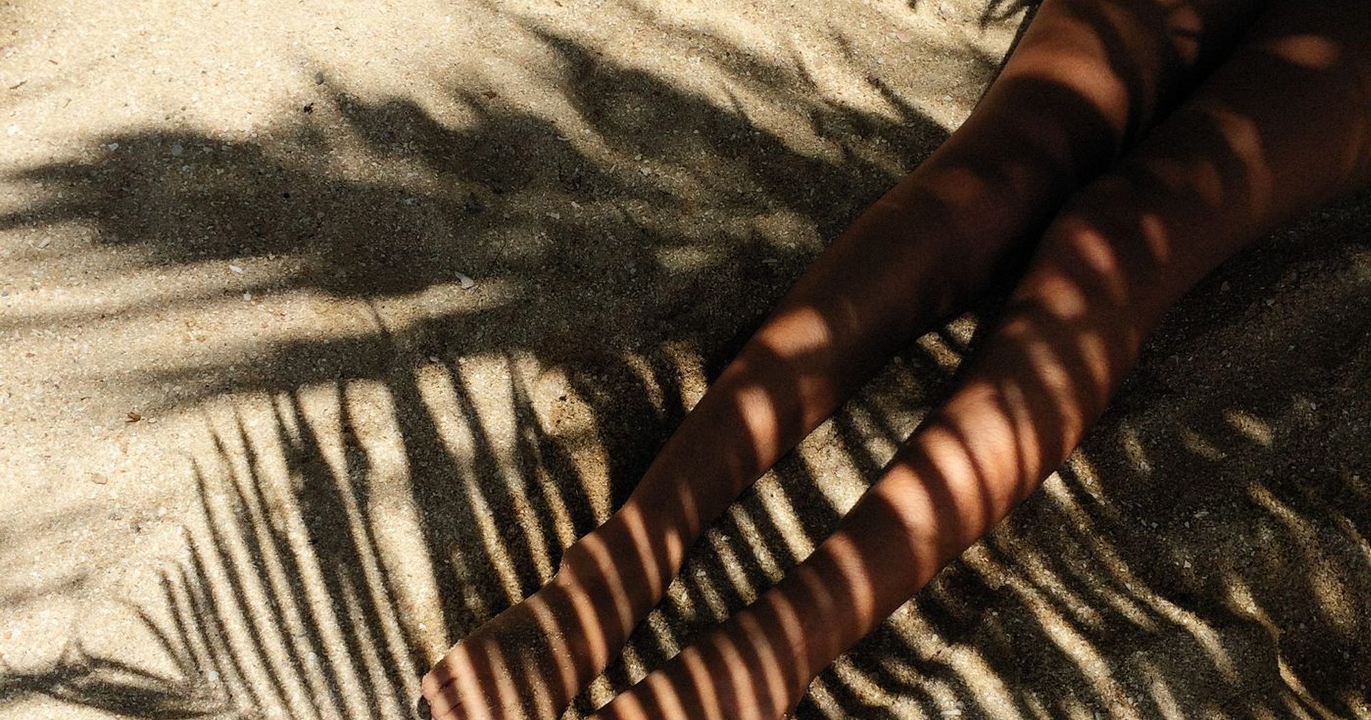 Palm shadows across a warm wall in Cartagena